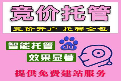 某某sem推广公司在某行业的应用与效果分析